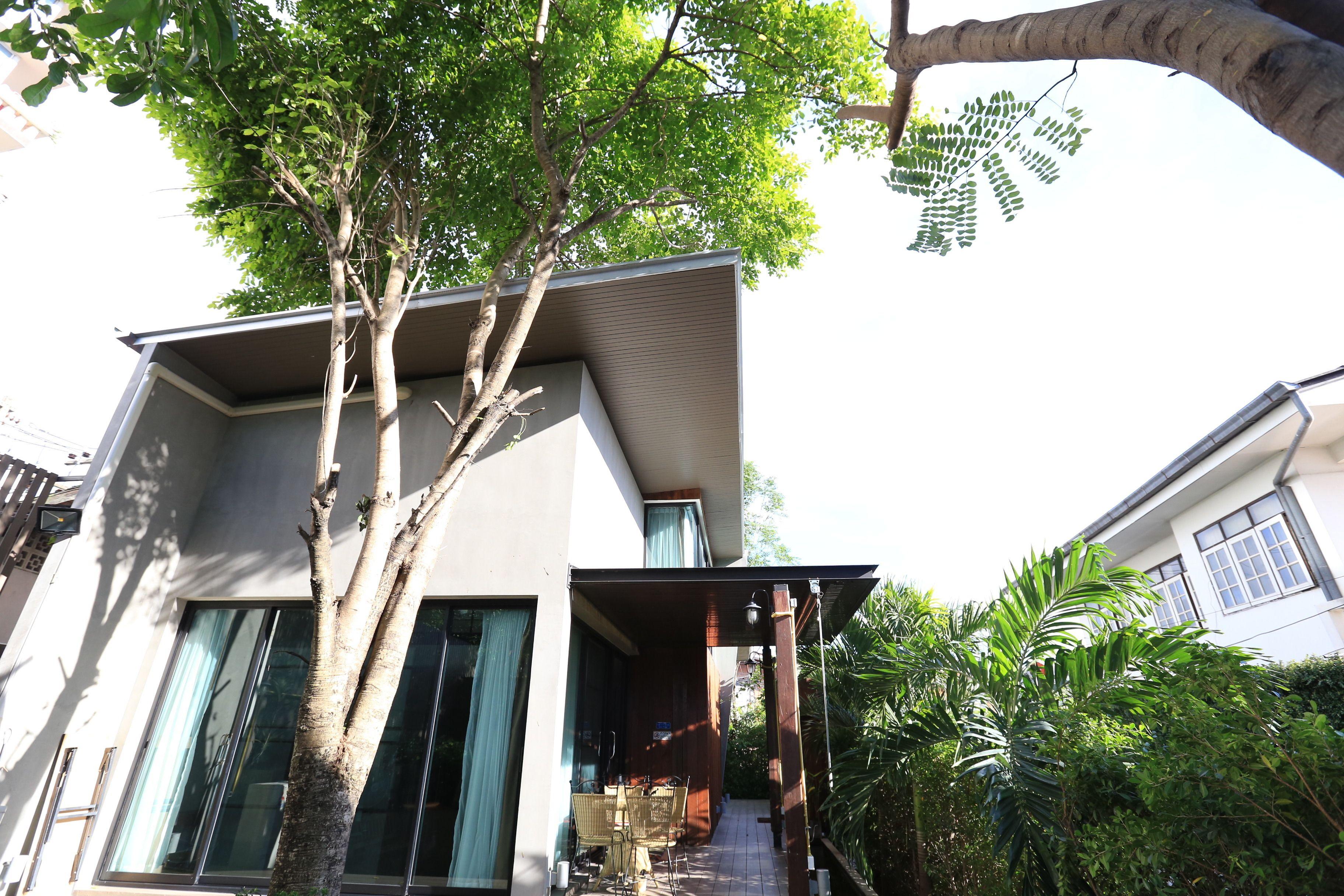 The White Elephant Home — Fotos 3